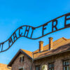oswiecimt1_promo_1-3.jpg