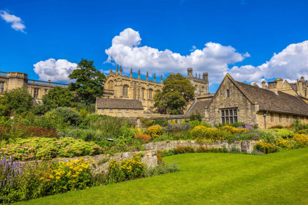oxfordt1_promo_4-3.jpg