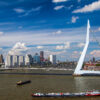 rotterdamt1_promo_4-2.jpg