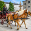 salzburgt1_promo_5-5.jpg