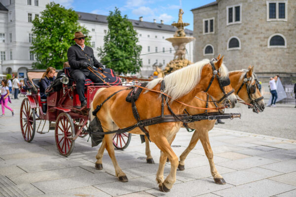 salzburgt1_promo_5-5.jpg