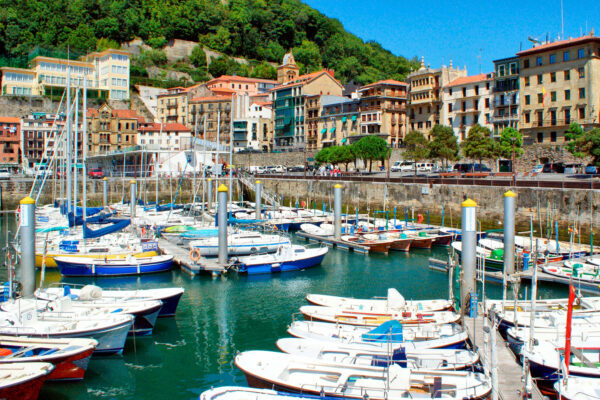 sansebastiant1_promo_3-3.jpg