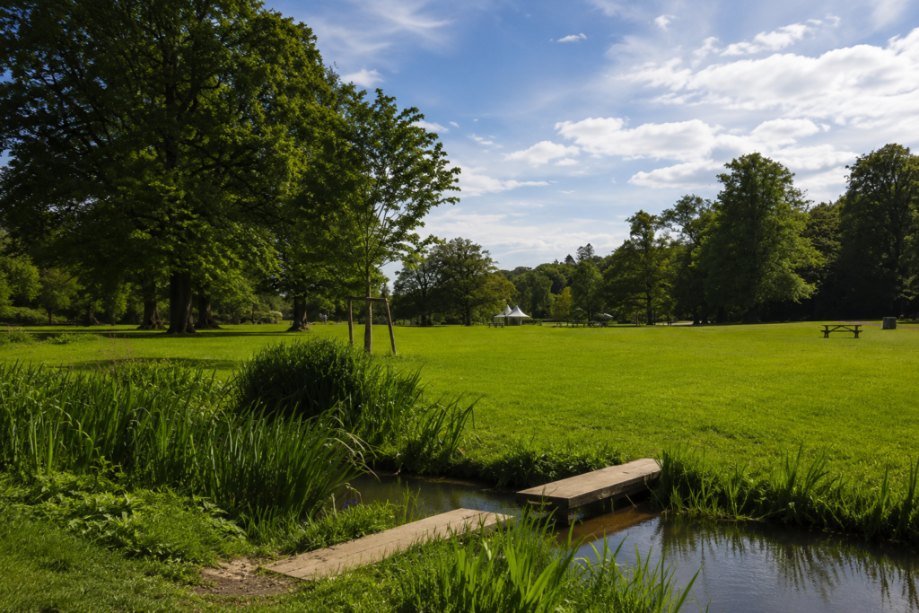 Green lawns and trees in Slottsskogen, Gothenburg's large free city park