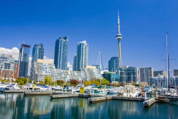 torontot1_promo_1-2.jpg