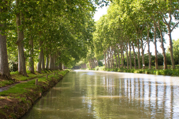 toulouset1_promo_3-1.jpg