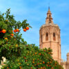 valenciat1_promo_4-7.jpg