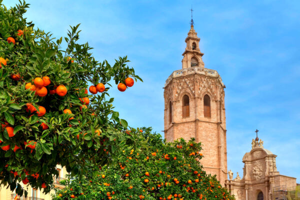 valenciat1_promo_4-7.jpg