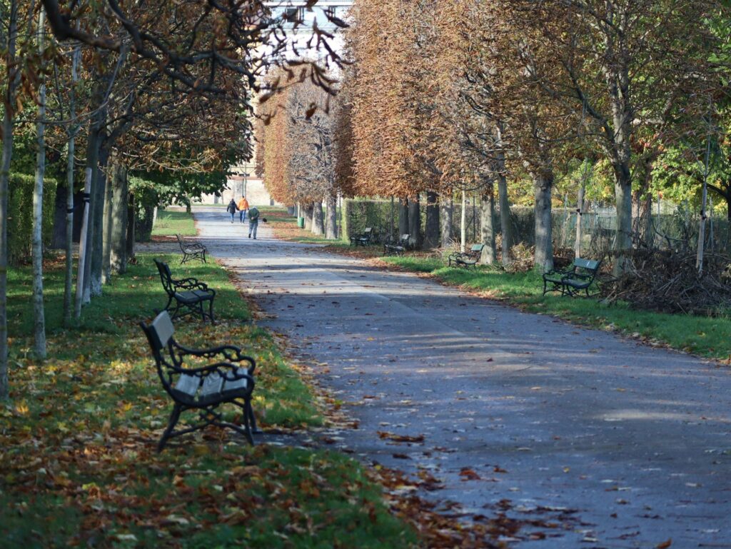 Tree-lined park alley with benches in autumn in Vienna