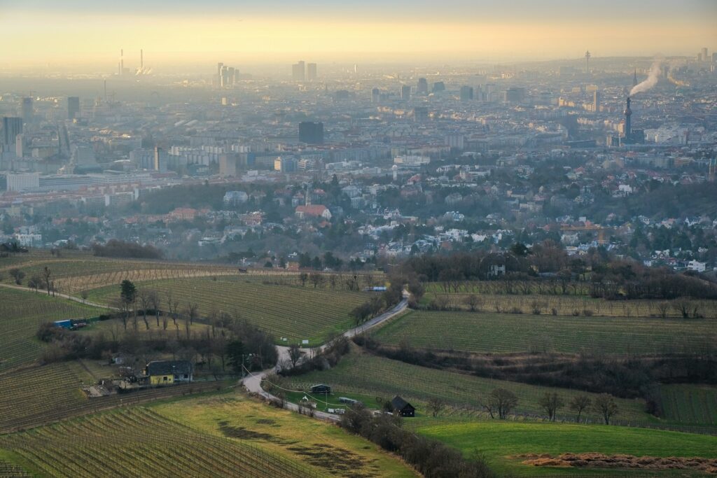 Wooded vineyard hills above Vienna in morning haze